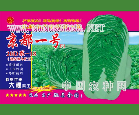 京都一号